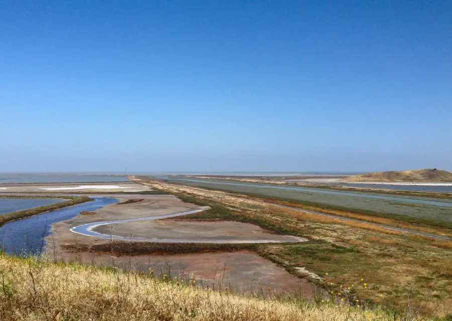 Salt marsh channels winding toward San Francisco Bay from Coyote Hills